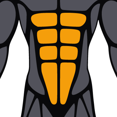 Square crop of the figure with the abs highlighted.