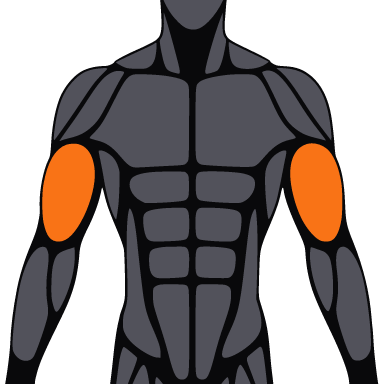 Square crop of the figure with the biceps highlighted.