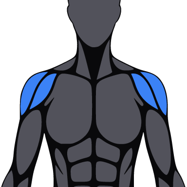Square crop of the figure with the delts highlighted.