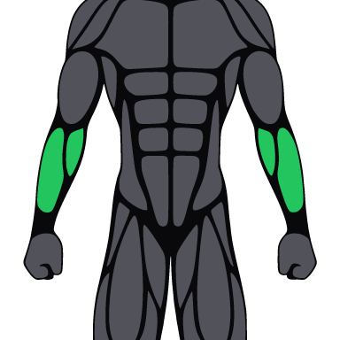 Square crop of the figure with the forearms highlighted.