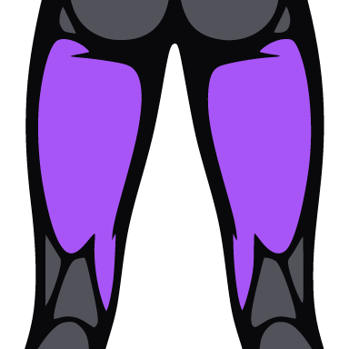 Square crop of the figure with the hamstrings highlighted.