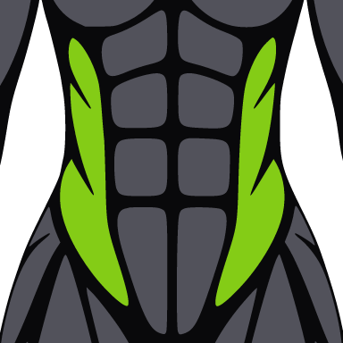Square crop of the figure with the obliques highlighted.