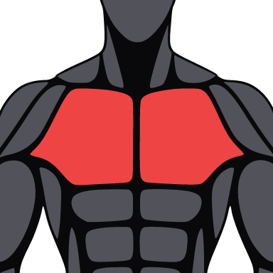 Square crop of the figure with the pectorals highlighted.