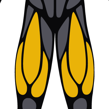 Square crop of the figure with the quads highlighted.