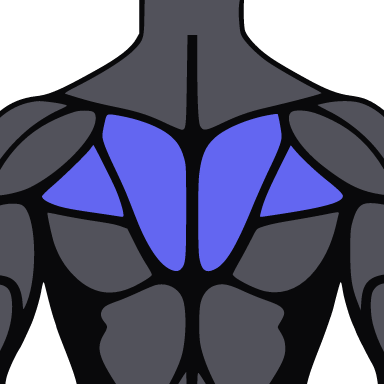 Square crop of the figure with the traps highlighted.